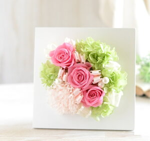 vU[uht[ i P[X J[l[V AW 蕨 v[g Mtg t[  rO CeA  a Mtg  a v[g j