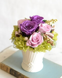 vU[uht[ Mtg N[ i vU[uht[ AW NAP[X AW  AW lC a  oY Vz j Mtg 蕨 v[g Ce