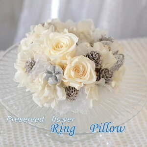 Os[ iyzvU[uht[ NAP[Xt uC_ EGfBO  Weddingp[eB I t  ~CO EFfBO ][g  lC  N