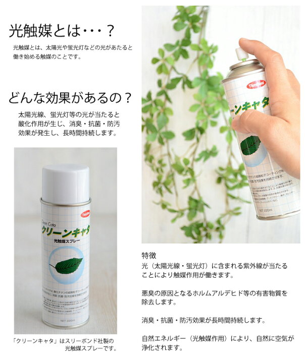楽天市場】ラナンとミモザのグリーンリース完成品 33cmリース 白 