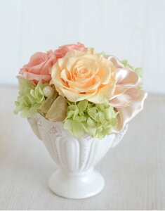 [ iyz vU[uht[AW NAP[X j 蕨 GKgAW@؂₩ȃAW@Mtg @@a@