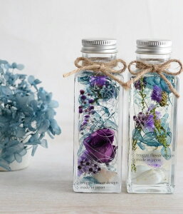 n[oE MtgyIׂ2Fzblue|green2{gi on[oE Mtg n[oE ̓ ̓Mtg NAP[Xt ̓ 蕨 ̓  n[oE Mtg 