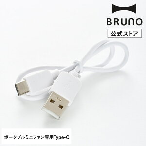 �|�[�^�u���~�j�t�@���p USB�P�[�u��(Type-C) �����z���j�� ���w�j��