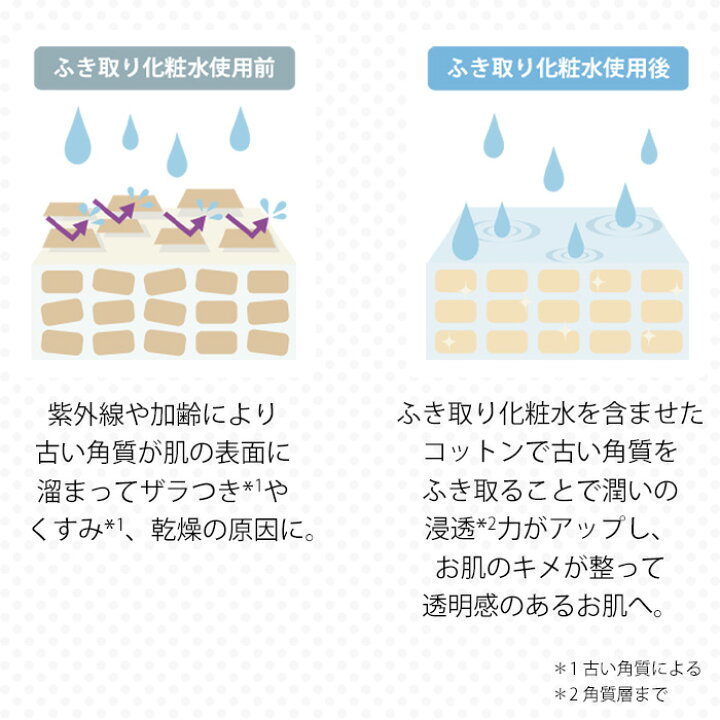 楽天市場 5日限定 エントリーで最大ポイント倍 化粧水 お肌 ふき取り 化粧水 110ml ヒト型 セラミド 配合 ふきとり 保湿 角質 リピジュア 拭き取り 化粧水 送料無料 手作り化粧品工房bs C