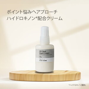 N[ HD( nChLm )X|bgN[E30g(p) ێ nChLm OZt[