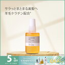 【4日20時〜11日1時59分限定！最大60％OFFクーポン実施中！】トリートメントの素 ・30mL 髪の NMF 原料混合液 ケラチン配合 トリートメントのもと 送料無料