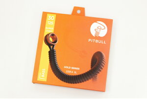 ynewzPitbull Strings / GEB6SL 6strings E.Bass Super LightylXz
