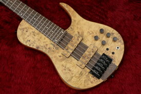 【new】D'mark Guitars / Omega 5 Exotic Pioppo MASTER SERIES #23A0006 4.215kg【横浜店】
