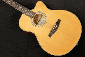 ynewzPRS(Paul Reed Smith) / SE A50E Black Gold 2023 #F19653 2.02kgyTONIQz