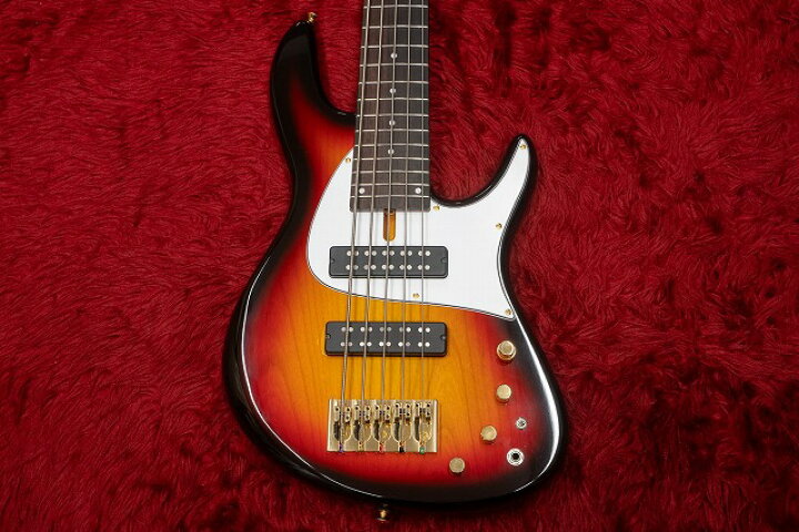 楽天市場】【used】Fodera / NYC Empire 5strings 60FH 24DC 4.305kg 