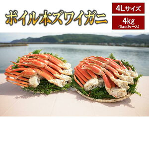 {C{YCKj 4LTCY 4kgi2kg×2P[Xj ʔz ƉpEOsI ˂OkCiOSP BSeShopping ̃f erʔ 킢 Jj 