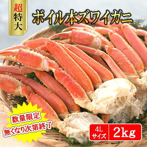 y2025Nz{C{YCKj 4LTCY 2kg@ƉpEOsI˂OIkCؐiOSP BSeShopping erʔ 킢 Jj  {C Ir Jj  