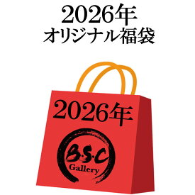 BSCギャラリー京都 2026年 和柄・カジュアル・キャラクター ミックス 福袋 （ BSCWF ）当店オリジナル 本気の 福袋 メンズ 2026 福袋 ハッピーバック 5点 以上 よりすぐ M L XL XXL 刺繍 プリント 絡繰魂 抜刀娘 参丸一 衣櫻 VANSON GALFY etc. 送料無料