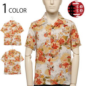 ÓsÓs Ƃ |~  zkɑf  a  AnVc i BSG0005-1 j { ChCWp a an zk ߂  Vc An J Vc N