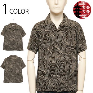 ÓsÓs Ƃ Cg  zkɑf  a  AnVc i BSG0005-3 j { ChCWp a an zk ߂  Vc An J Vc N