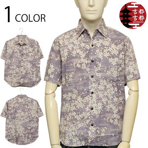 ÓsÓs Ƃ   TUNX n  a  Vc i BSG0020 j a  Vc Vc M[ Vc TUNX f   sakura   Rbg  f 