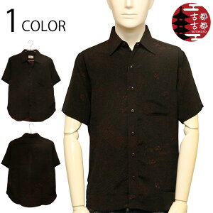 ÓsÓs Ƃ ay  zk n  a  Vc i BSG0024 j a  Vc Vc M[ Vc zk ߂ f 䕿 ԕ g  Rbg  f