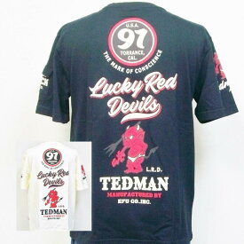 テッドマン TEDMAN 半袖Tシャツ TDSS-509 ロゴデザイン アメカジ バイカー ミリタリー