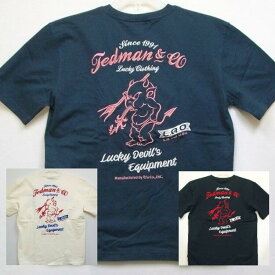 テッドマン TEDMAN 刺繍半袖Tシャツ TDSS-548 アメカジ バイカー ミリタリー