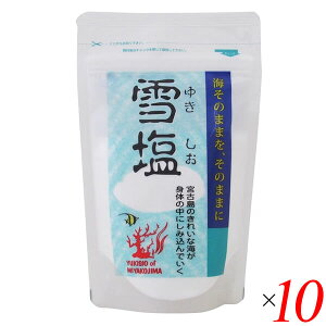 �y���|�C���g�ՁI�ő�5�{�I100�~�N�[�|���I�z�ቖ �p�E�_�[�^�C�v 120g 10�Z�b�g �{�Ó��̊C��100�� ���炳����� �����^�C�v ������ �C��