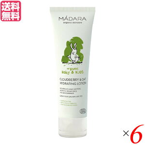 N[ {fB ێ }_ }Ch xr[N[[V 100ml 6Zbg 