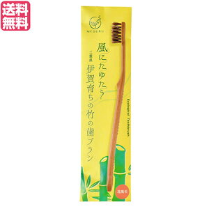 y9/16()IGg[Ń|Cg2{IzuV nuV n FINE MEGURU |̎uV Ԕnсiӂj