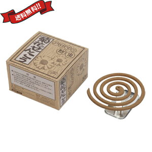 eԂ񂱂(W)˂ 6ԗp 30