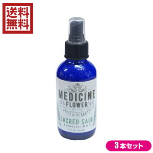 y11/1(y)I|Cgő8{IzzCgZ[W  Xv[ ZCNbh Z[W X[NX ~Xg 120ml 3{Zbg