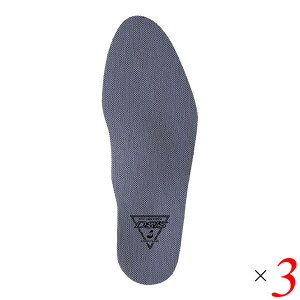 yBFI100~N[|Iw2{IzDSIS\{fB tC\[ 3Zbg ~ Ռz ̈U