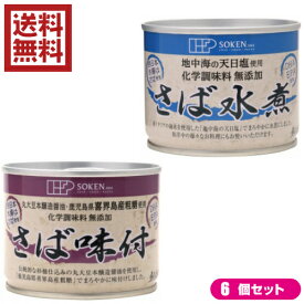 鯖 水煮 缶 創健社 さば缶 選べる6個セット 全2種