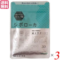 楽天市場】シボローカの通販