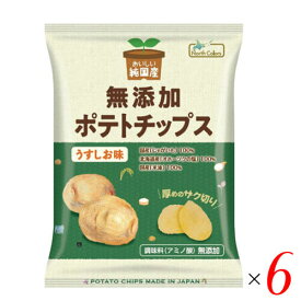 【お買い物マラソン！ポイント5倍！】ポテチ ポテトチップス 無添加 おいしい純国産 無添加ポテトチップス うすしお味 55g ノースカラーズ 6袋セット 送料無料