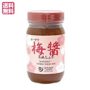 練り梅 調味料の人気商品 通販 価格比較 価格 Com 練り梅 調味料の人気商品 通販 価格比較 価格 Com