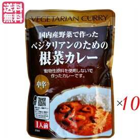 カレー ベジタリアン ビーガン ベジタリアンのための根菜カレー 200g 中辛 10個セット 桜井食品 送料無料