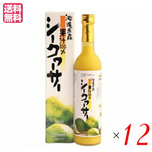 yX[p[SALEI100~N[|Iw2{IzV[N[T[ t W[X n ꌧY V[N[T[ 500ml 12Zbg