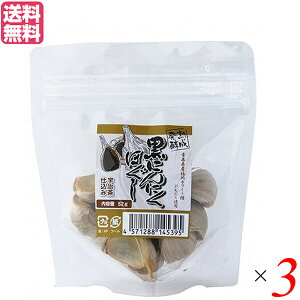 yC[OXӍՁI|Cgő5{Izɂɂ ɂɂ Y Ii nyɂɂق TCY 52g 3Zbg 