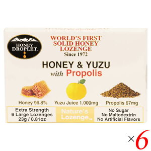 y300|CgRIzv|X LfB[ ̂ǈ nj[hbvbg nj[&Mqwithv|Xîǈj18g/6 6Zbg nj[Wp