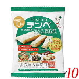 【4/25(木)限定！楽天カードでポイント6倍！】テンペ（レトルト）100g 10個セット マルシン食品 国産 大豆ミート 大豆肉 送料無料