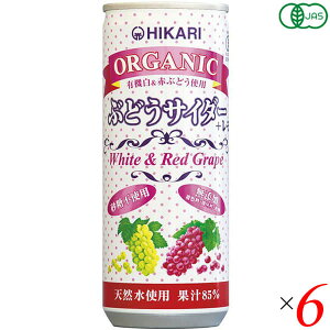 y9/30()IyVJ[hpŃ|Cg8{IzHi TC_[ Y_W[X qJ I[KjbNԂǂTC_[{ 250ml 6{Zbg