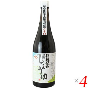 yX[p[SALEI100~N[|Iw2{Izݖ W  }qT Md łȂݖ W() 720ml 4{Zbg 