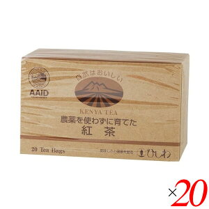 y300|CgRIzg eB[obO Xg[g Ђ _g킸ɈĂgieB[obOjPjA 20 20Zbg