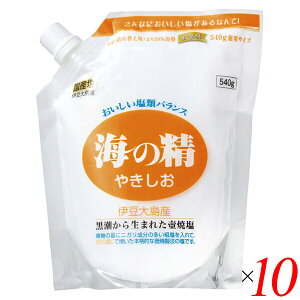 yX[p[SALEI100~N[|Iw2{Iz VR V C̐ ₫iX^hpbNj540g 10Zbg 