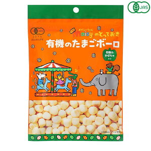 【マラソン限定!100円クーポン!学割2倍!】創健社 メイシーちゃんのとっておき 有機のたまごボーロ 40g お菓子 おやつ オーガニック
