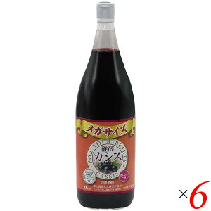 y}\I|Cg2{I100~N[|IzWt}bN yJVX 1800ml 6{Zbg AgVAj |tFm[ XO