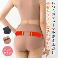 [BSファイン]BSカットフリー腰楽々ショーツソフト(1枚/2枚組)【公式】｜ 腰 キリッパ レディース 女性 あ…