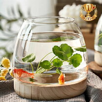 楽天市場】水槽 丸い（熱帯魚・アクアリウム｜ペット・ペットグッズ 