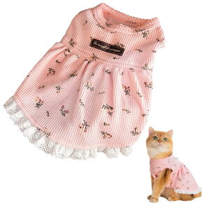 ̕ Lp 100% s[X ^  L hX ybgEFA ԕfUC ʋC GǍD Č ` gCv[h _bNXth ~j`Ap   i