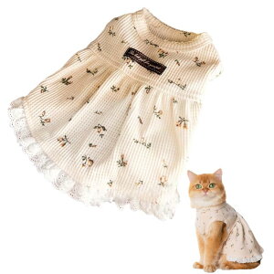 ̕ Lp 100% s[X ^  L hX ybgEFA ԕfUC ʋC GǍD Č ` gCv[h _bNXth ~j`Ap   i