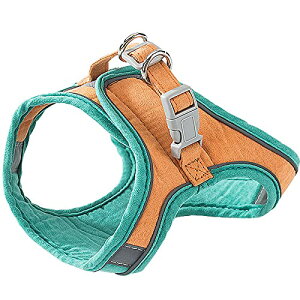 �L �L�p �n�[�l�X ���� �L�� �˂� �l�R �q�L �q�� ���^�� �U�� �L���� �L���[�h ���S ��� �����Ȃ� �l�R�x�X�g �\�t�g������ ���o���� �U�� �y�� �ʋC�f�� �锽�� �T�C�Y���߉� (,�O���[��)