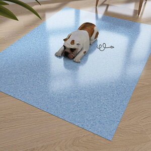 ybg}bg ybgpxbh}bg t[OJ[ybg h ׂ~ hLhJr hۉ 唻TCY t[Jbg ^E^E^p ybgtFXET[NEP[Wp 